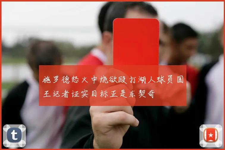 施罗德怒火中烧欲殴打湖人球员国王记者证实目标正是东契奇