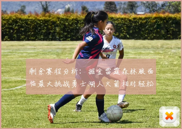 剩余赛程分析：掘金雷霆森林狼面临最大挑战勇士湖人火箭相对轻松