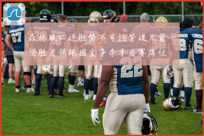 森林狼四连胜势不可挡紧追火箭一场胜差领跑掘金争夺季后赛席位